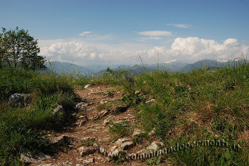 09 04459 Canto basso.JPG